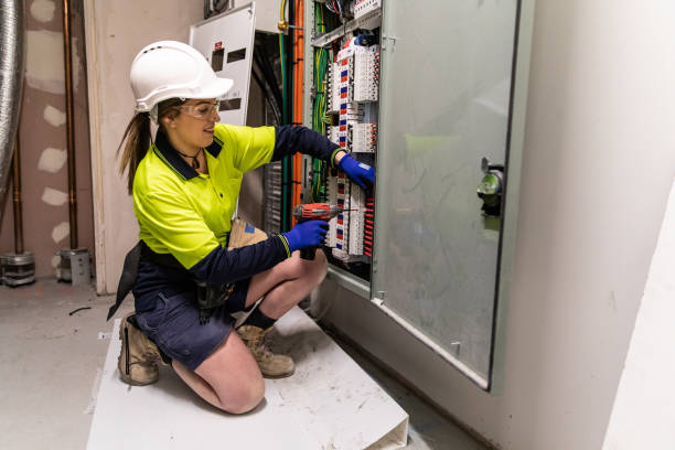 Best Generator Installation Services  in Olympia Fields, IL